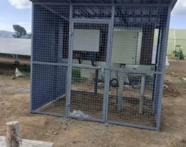 FLORA PURA ROSES (4) FLORA PURA ROSES (4)