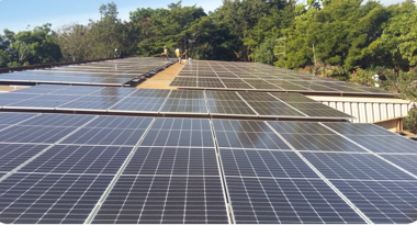 Hanna Roses Hanna Roses